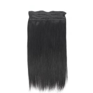 Brazilian Virgin Hair Natural Straight Hair Clip in Hair Extensions