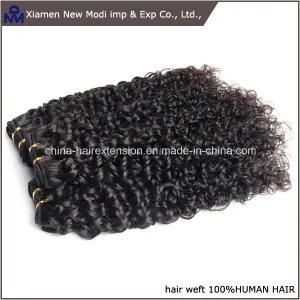 Brzailian Human Hair Weft Virgin Hair Weave