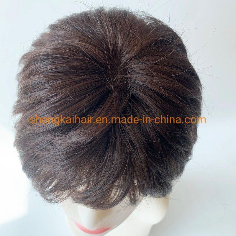 Wholesale Handtied Human Hair Synthetic Hair Mix Hair Wigs