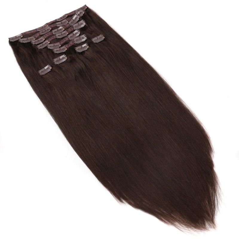 Top Quality Human Hair Hot Sale in USA/Europe Market for Full Head Deluxe Size Clips in Hair Extension