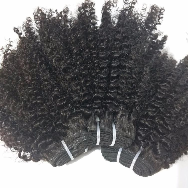 Brazilian Human Hair Extension Afro Kinky Curly Hair