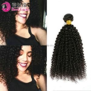 Professional Supply Brazilian Remy Human Hair Products Unprocessed Virgin Brazilain Hair Kinky Curly Hair Extension