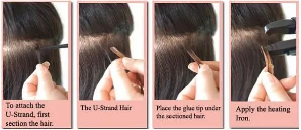 Human Hair Extension Double Drawn Pre Bonded U Tip Hair Lbh 036