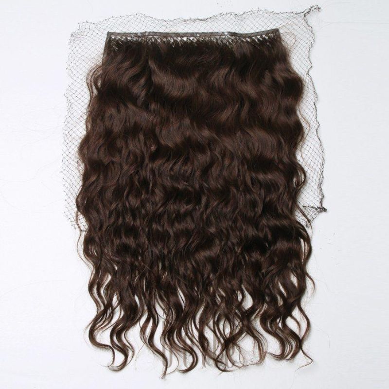 Top Quality Virgin Human Hair Fishnet Hairpiece Hair Extension