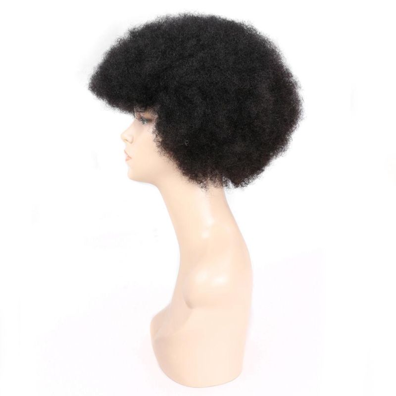 Fashion Short Curly Hair Indian Remy Human Hair Wig