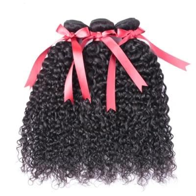 Riisca Unprocessed Human Hair Deep Curly Virgin Brazilian Hair Bundles