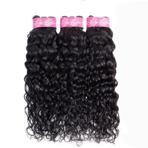 Remy Brazilian Human Hair Water Wave Weave Bundle