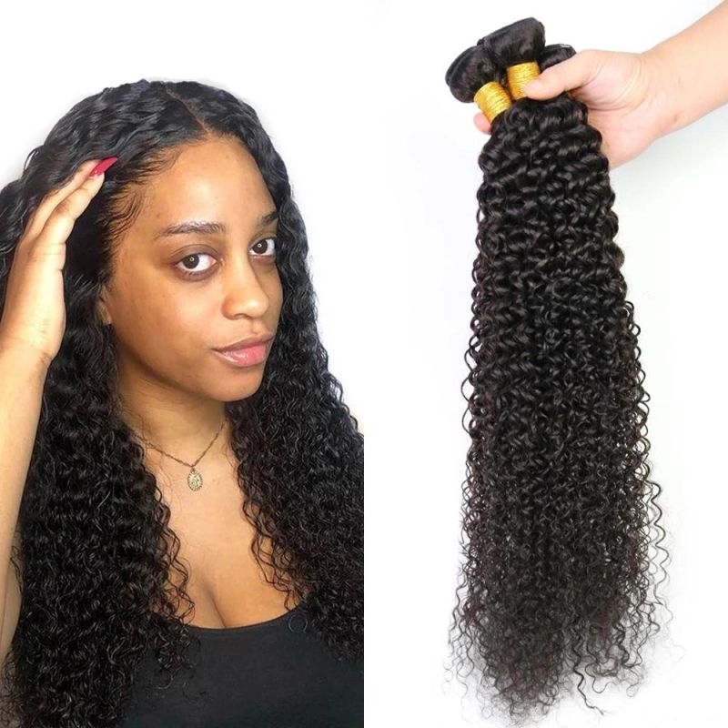 Factory Wholesale Kinky Curly Brazilian Virgin Human Hair Bundles Natural Black 18 Inch