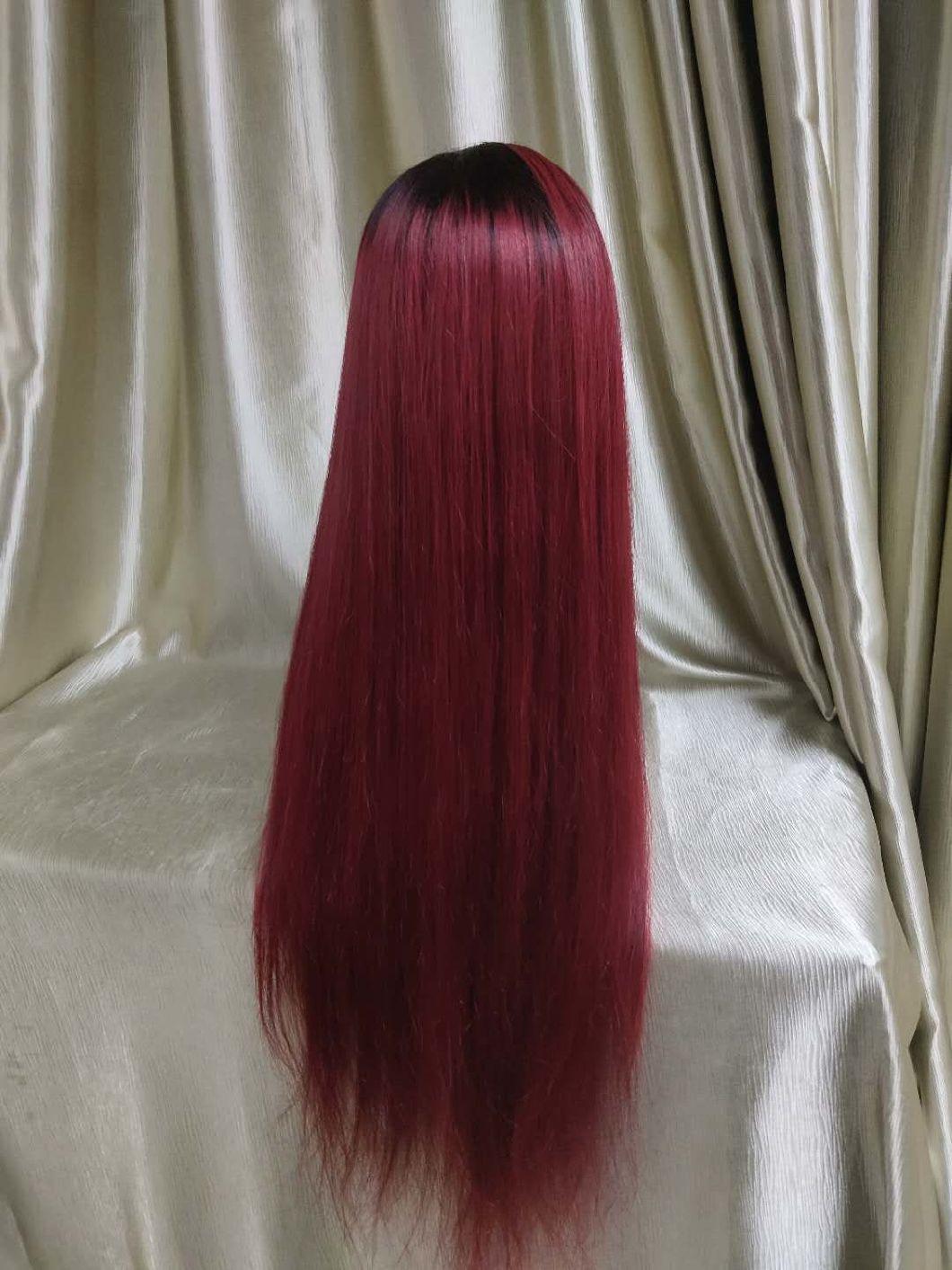 Customized Color Available Ombre Color Human Hair Wigs Lace Frontal Wigs