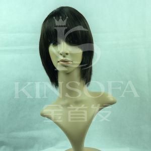 100% Human Hair Wigs