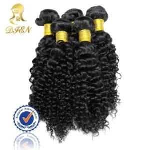 Variety of Color Indian Virgin Kinky Curly Weft