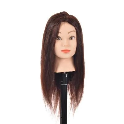 Wholesale Premium Mannequin Head Training Head Cosmetology Manikin Head Doll Head (dark brown)