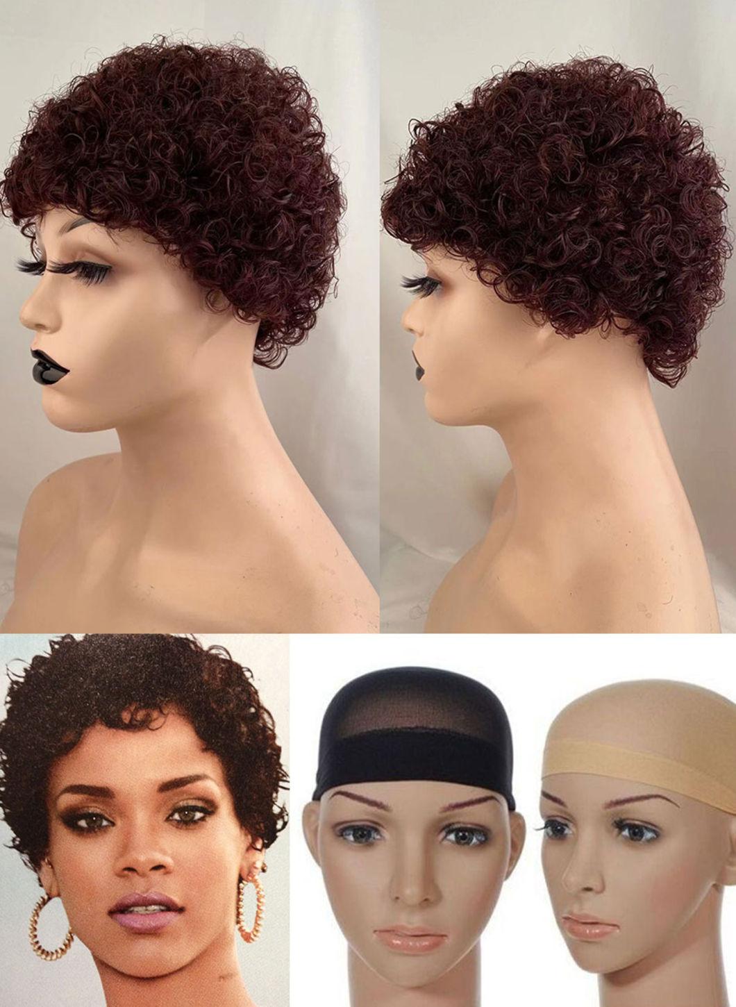 Curly Wig Human Hair Honey Blonde Human Hair Wigs Pixie Short Wigs Human Hair 150 Remy Brazilian Hair Wig