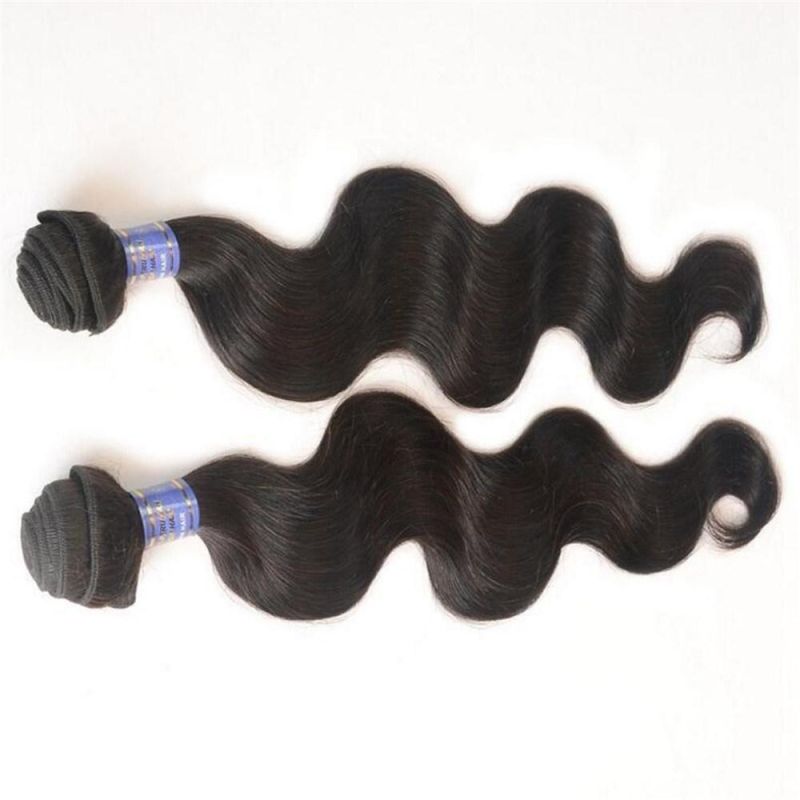 2020 New Brazilian Virgin Hair Wig