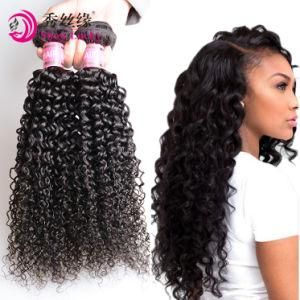 Human Hair Factory Wholesale Price Kinky Curly Virgin Brazilian Human Hair Brazil