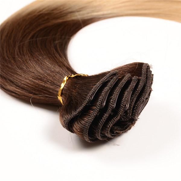 Snap Clip Hair Extension, Remy Human Hair Extensin