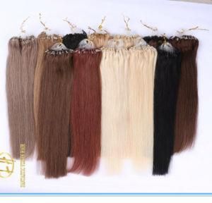 Customized Color High Quality Double Drawn Micro Ring Extension Hairs with Factory Price Ex-028