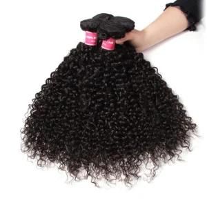 Peruvian Virgin Hair Kinky Curly Human Hair Weave Bundles Black Color