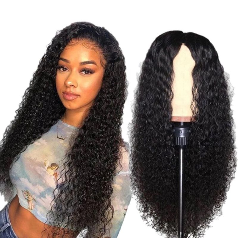 Raw Indian Human Hair Curly Lace Wig