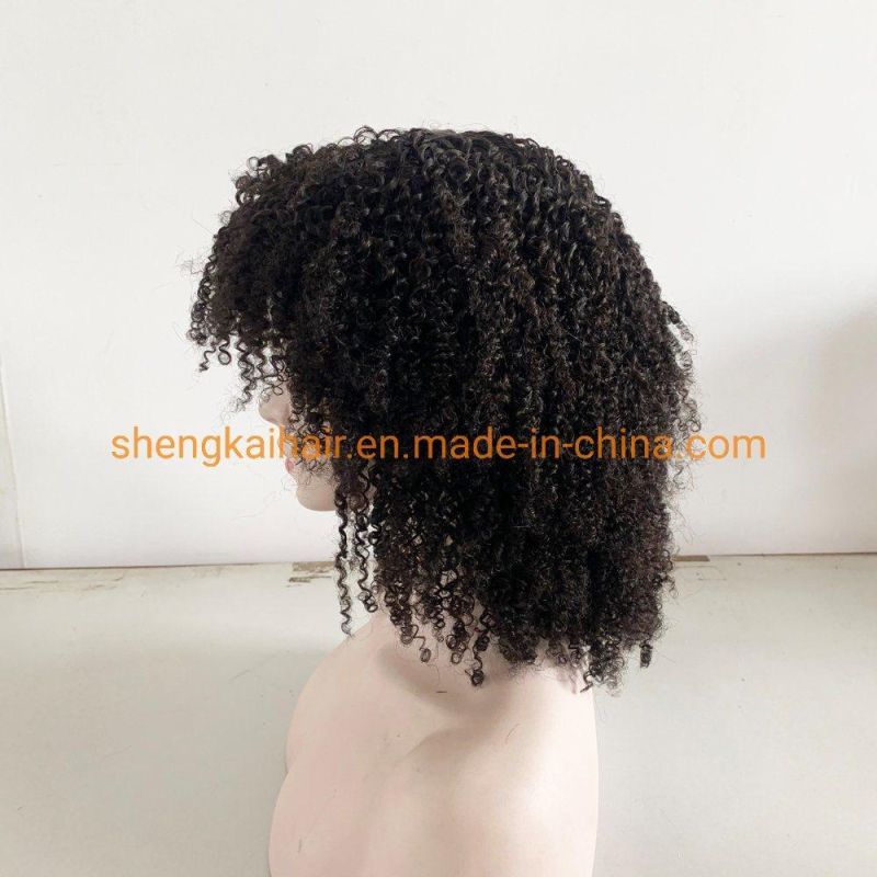 Wholesale Lace Front Afro Curly Natural Human Hair Women Wig