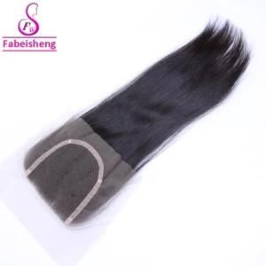 Brazilian Virgin Hair Bundles with Lace Closure Straight