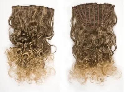 Clip in Half Wig Virgin Hair Clip on Hair Extensions Brazilian Hair Extensions (AV-HW00-22)
