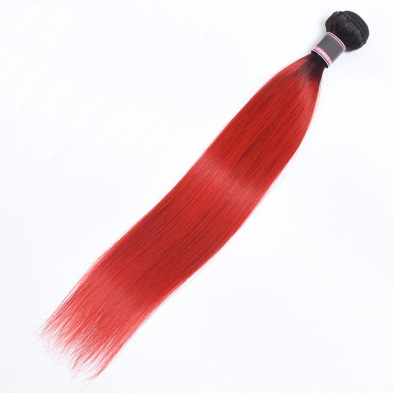 Straight Remy Hair Extensions Brazilian Human Hair Bundles 16 Inches T1b/613