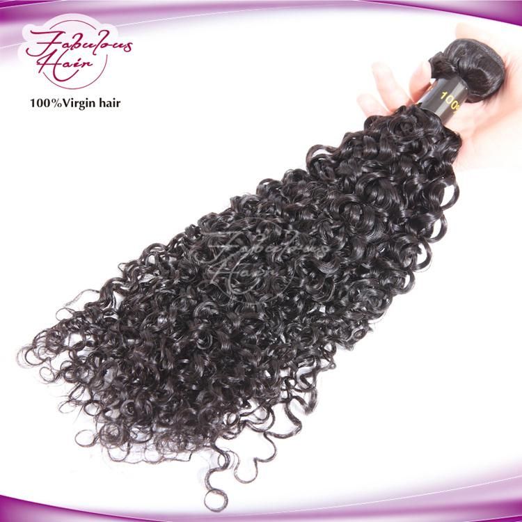 Top Human Hair Virgin Brazilian Curly Hair