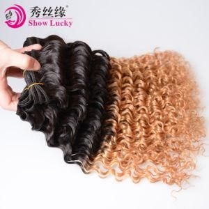Fabulous 9A Filipino Ombre Two Tone Blonde Color Deep Curly Wave Cheap Price Remy Filipino Hair Products