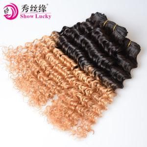 Free Shipping Vietnamese Ombre Double Drawn 1b/27 Hair Virgin Human Hair Weaving Deep Curly Wave Hair