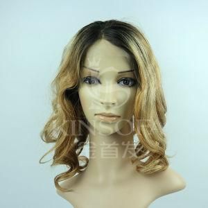 Top Grade Virgin 100% Human Hair Front Lace Wigs for Women