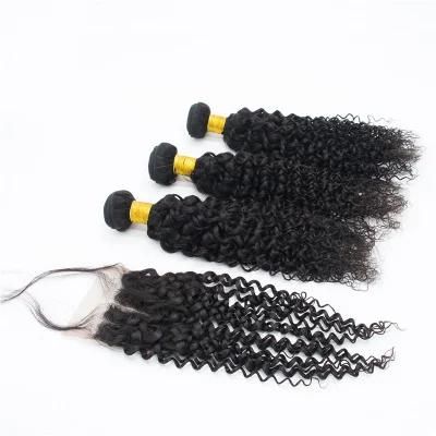 Wholesale Unprocessed Virgin Brazilian Human Hair Bundle with Closure