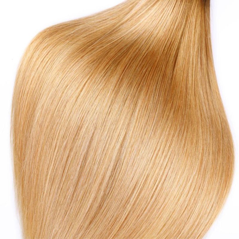 Brazilian Straight Human Hair Bundles with Closure Remy Honey Blonde Human Hair Bundles Ombre Color #1b/27