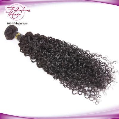 Unprocessed Natural Hair 100% Human Virgin Hair Curly Weft