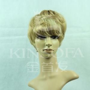 Human Hair Wigs