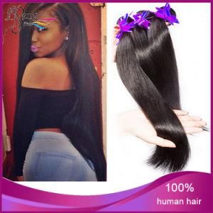 100% Human Hair Good Quality Human Hair