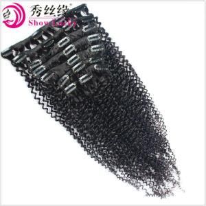 Big Discount Natural Raw Virgin European Hair Wholesale Clip in Remy Human Hair Extensions Kinky Curly