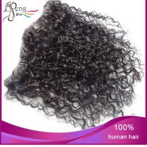 100% Human Unprocessed Human Hair