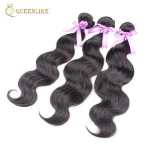 Unprocessed Virgin Brazilian Cuticle Aligned Human Hair