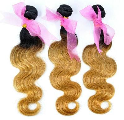 Brazilian Ombre Remy Human Hair Weft at Wholesale Price with SGS Approved (Body Wave 1B/27)
