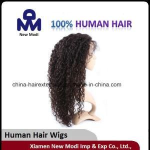 Brazilian Human Hair Curly No Lice Human Hair Wig