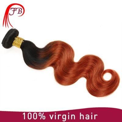 Ombre Body Wave Human Hair Weft, Wholesale Virgin Chinese Hair