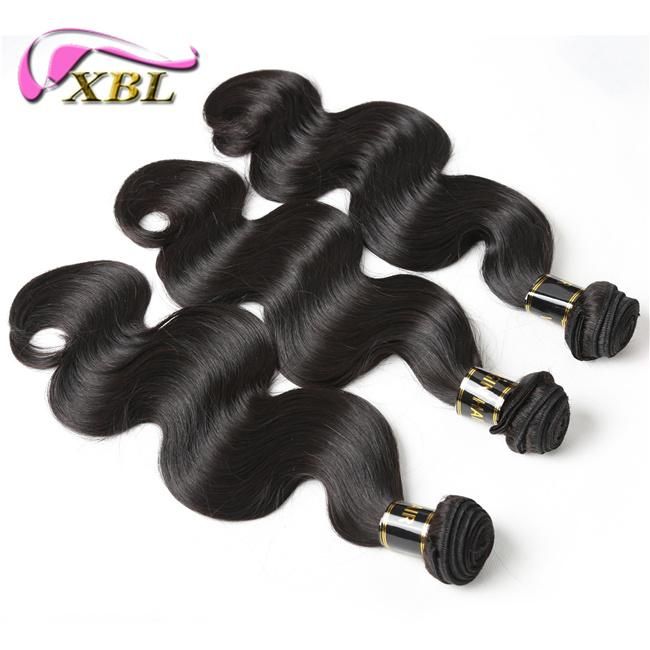 Top 9A Grade Virgin Brazilian Human Hair