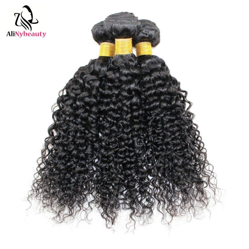 Alinybeauty Hot Selling Unprocessed Grade 8A Jerry Curly Hair 100% Indian Hair