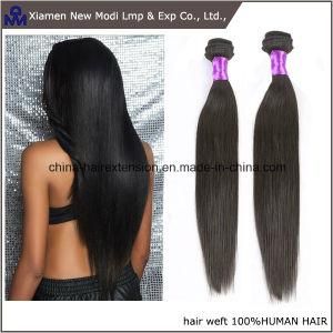 China Straight Human Hair Virgin Human Hair Weave