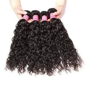 Brazilian Human Hair Water Wave Virgin Hair Weave