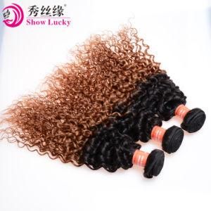 Factory Gurantee 100% Virgin Peruvian Ombre Two Tone Color Kinky Curly Human Hair Weft
