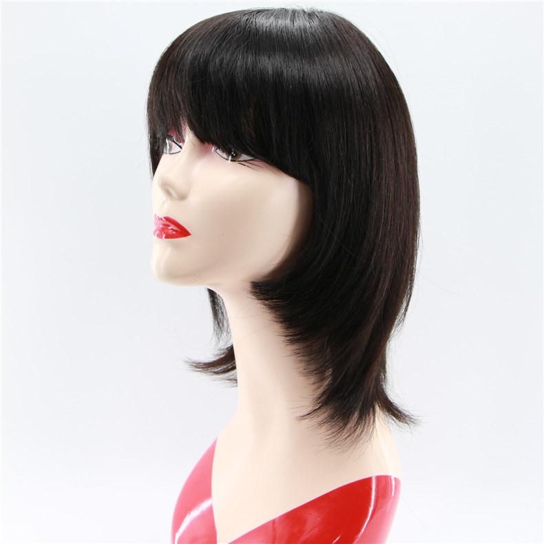 Factory Price Cheap Short Brazilian Human Hair 10inch Woman Wig