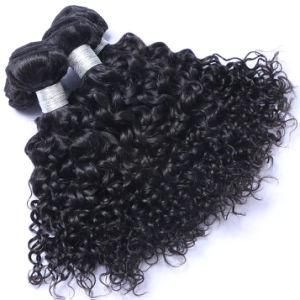 Human Hair Weave Bundles Peruvian Curly Hair