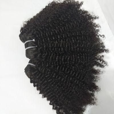 Natural Color Grade 8A Brazilian Human Hair Bundles Afro Kinky Curl with Closure